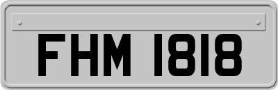 FHM1818