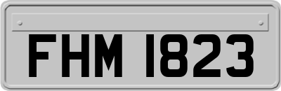 FHM1823