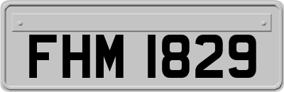 FHM1829