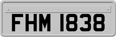 FHM1838