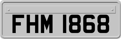 FHM1868