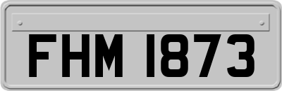 FHM1873