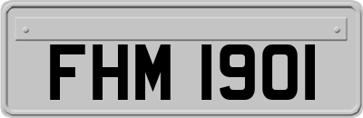 FHM1901