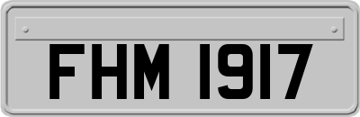 FHM1917