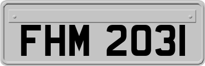 FHM2031