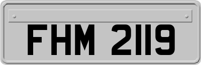 FHM2119