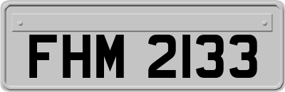 FHM2133