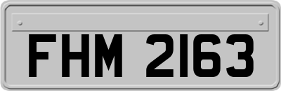 FHM2163