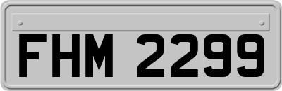 FHM2299