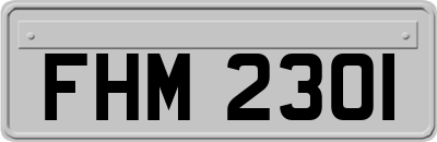 FHM2301
