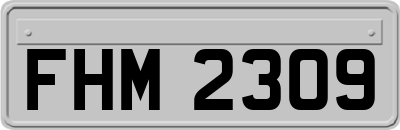 FHM2309