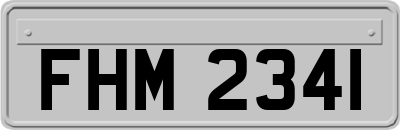 FHM2341