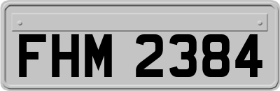 FHM2384