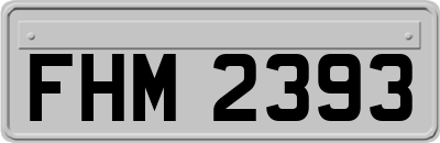 FHM2393