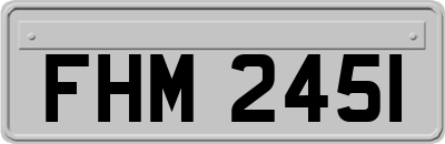FHM2451