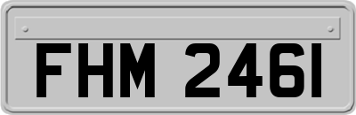 FHM2461