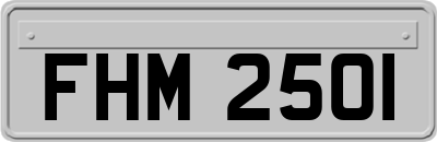 FHM2501