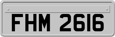 FHM2616