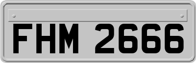 FHM2666