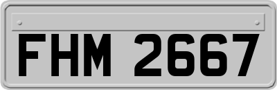 FHM2667