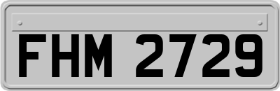 FHM2729
