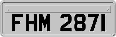FHM2871