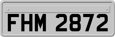 FHM2872