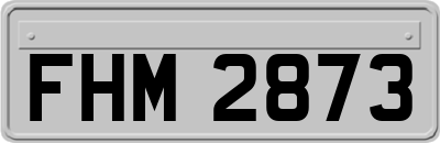 FHM2873