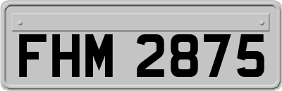 FHM2875