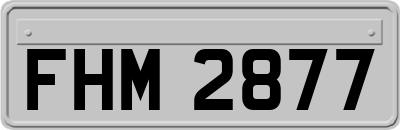 FHM2877