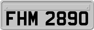 FHM2890
