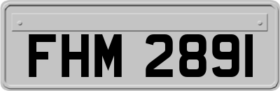 FHM2891