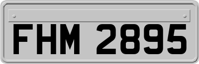 FHM2895