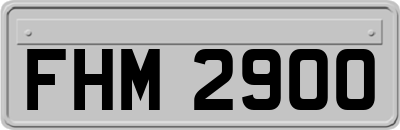 FHM2900