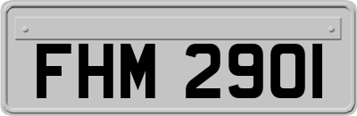 FHM2901