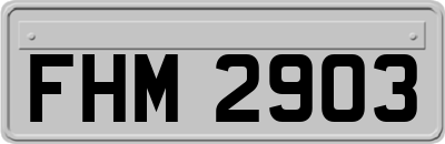 FHM2903