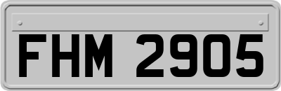 FHM2905