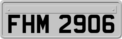 FHM2906