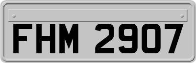 FHM2907