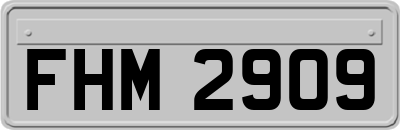 FHM2909