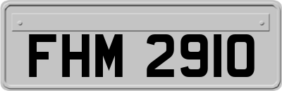 FHM2910