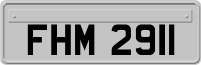 FHM2911