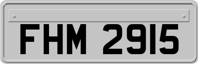 FHM2915