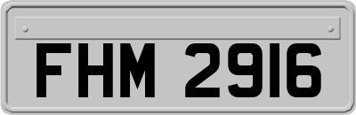 FHM2916
