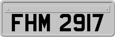 FHM2917