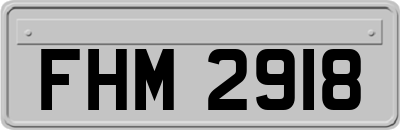 FHM2918