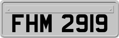 FHM2919