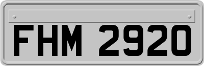 FHM2920