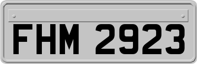 FHM2923