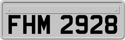 FHM2928